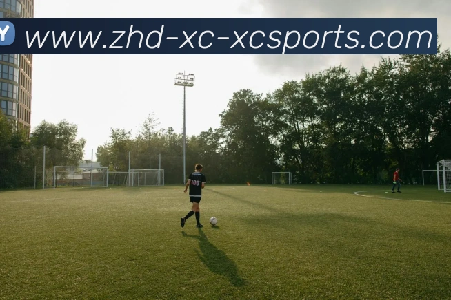 杏彩体育APP 封面图