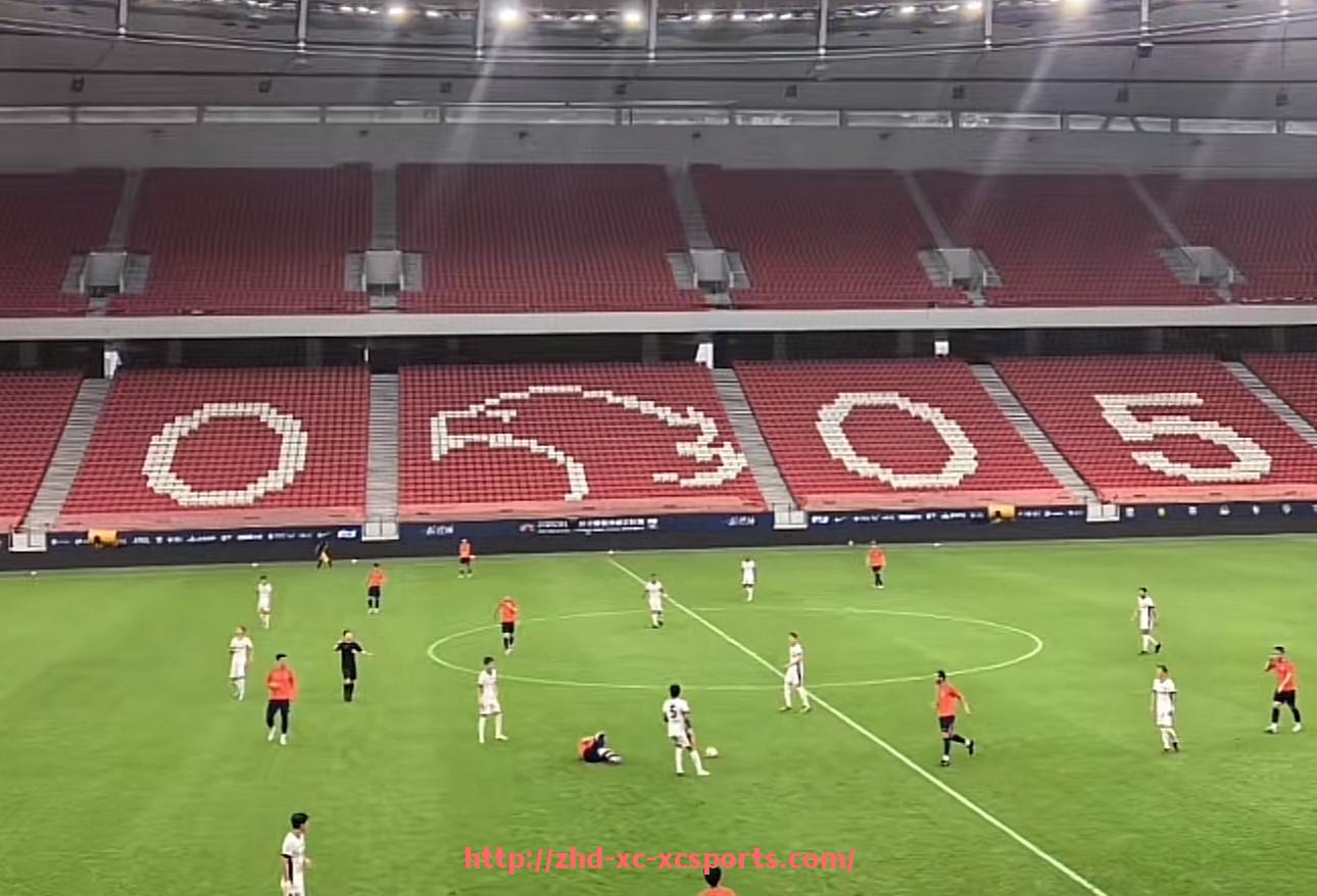 杏彩体育-世俱杯制度执行争议处理机制与纠纷调解流程