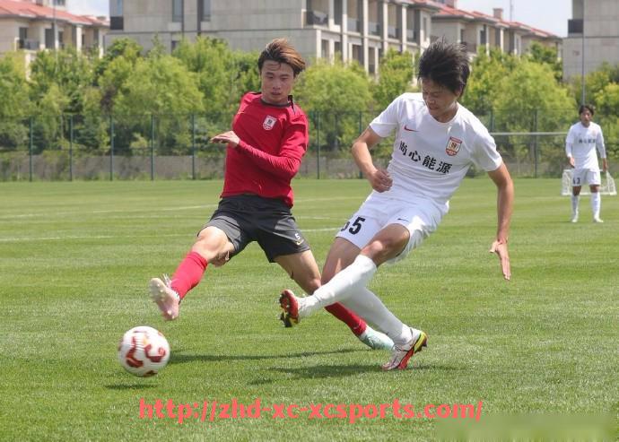 杏彩体育-当前法甲联赛面临的核心问题与发展瓶颈