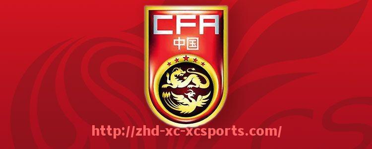 杏彩体育-世俱杯比赛场地维护标准与实施监督机制